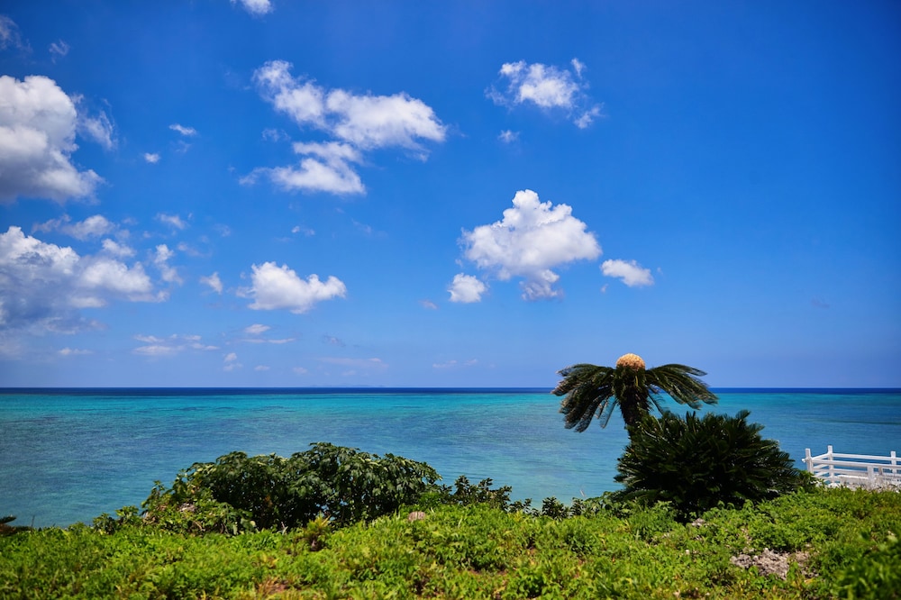 WOODPECKER Nakijin