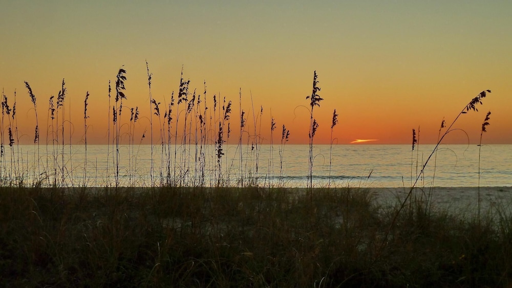 Sunset Chateau 409