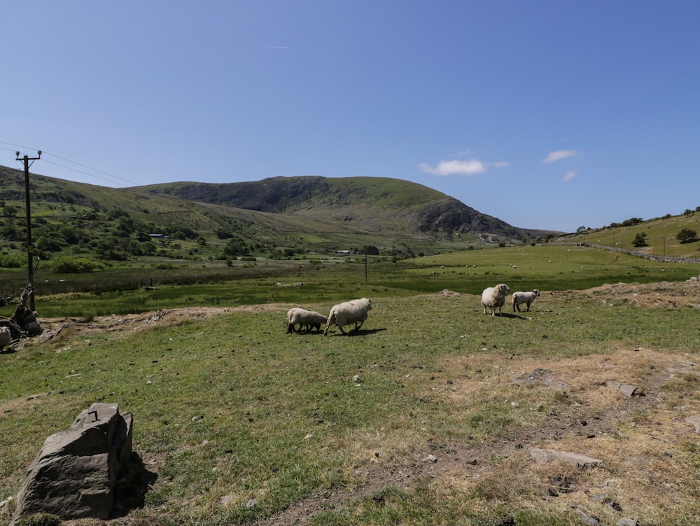 Moelfre - Shepherds Hut