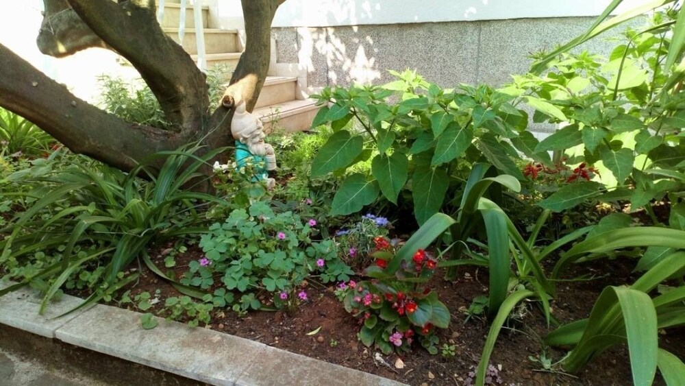 Photo 9