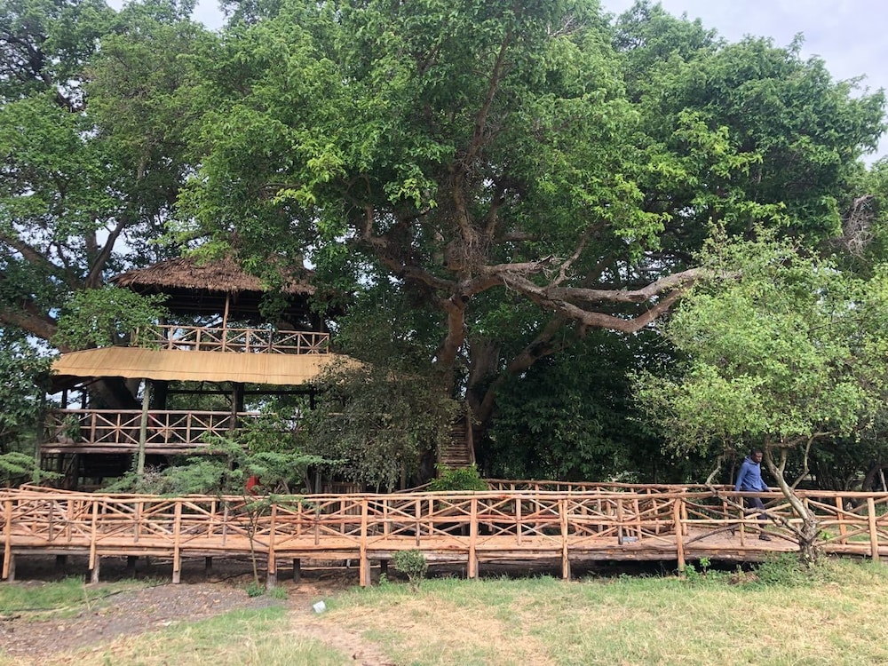 Mara Sweet Acacia Lodge