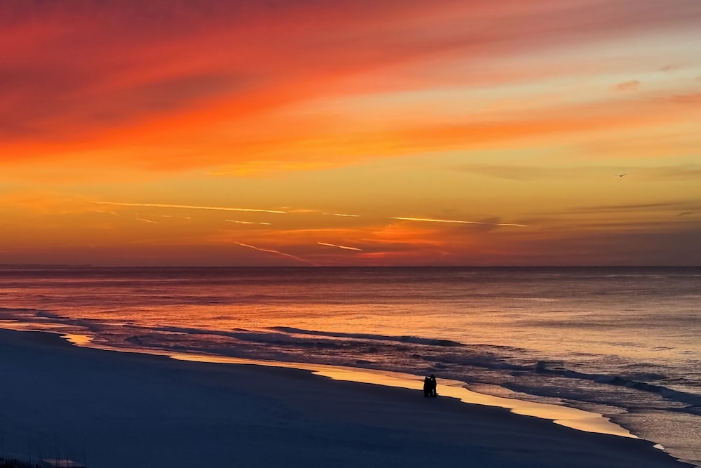 Steps to Beach: Oceanfront w/ Panoramic Gulf Views