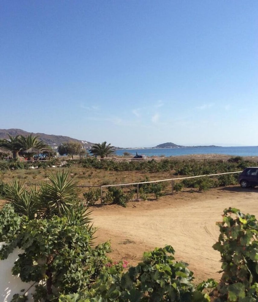 Aronis Plaka Naxos