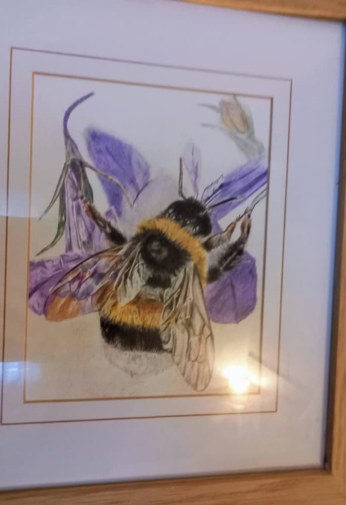The Hive on the River Bank