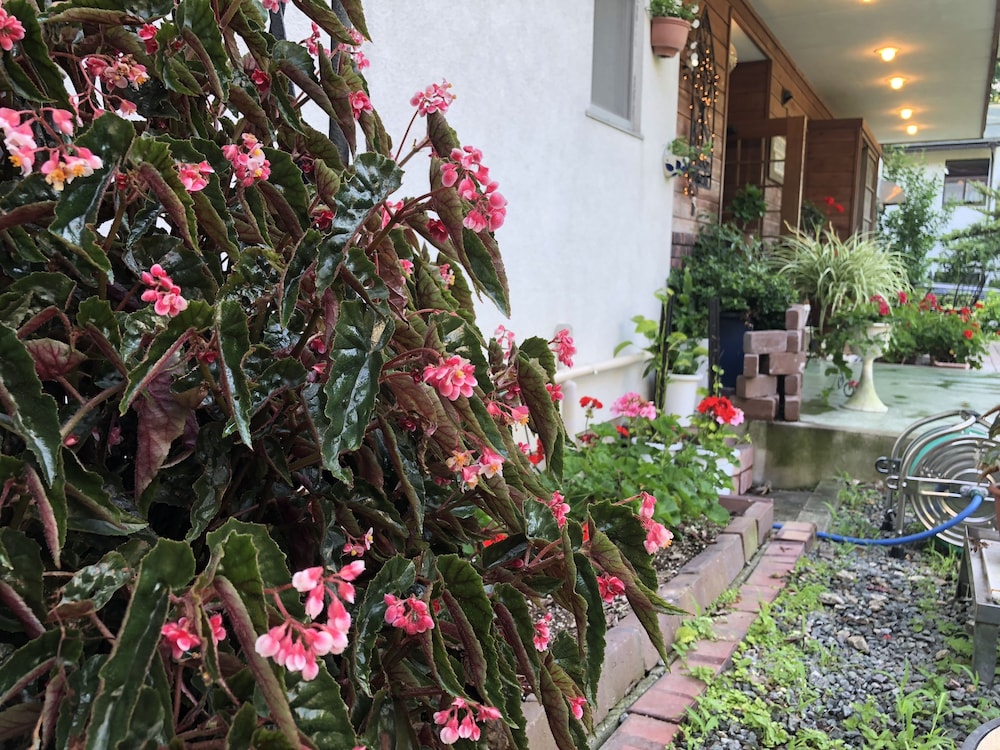 Inn of Amigos Yasuda Pension