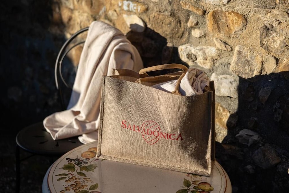 Salvadonica - Borgo del Chianti, photo 13