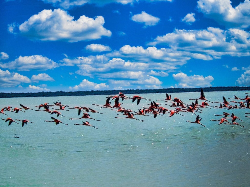 Location Location Location Best Beachfront Spot in El Cuyo With Stunning Views photo 5