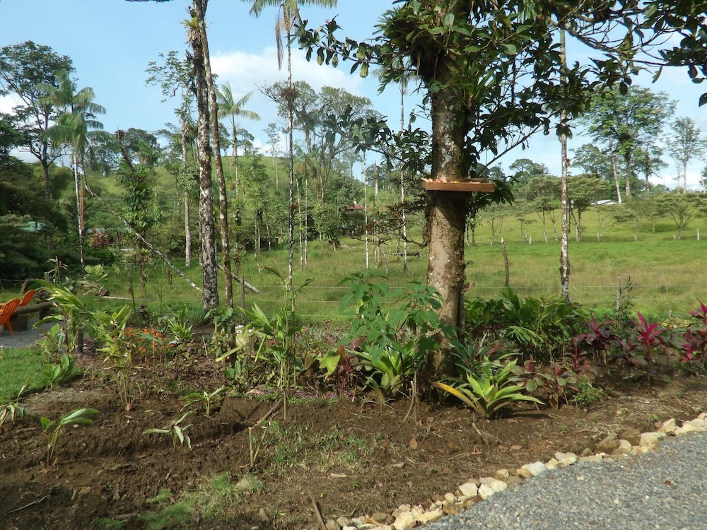 Pura Vidaville - Hiker's Hideaway