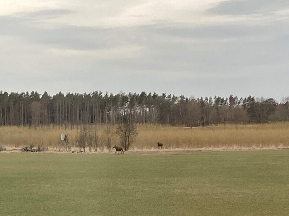 other