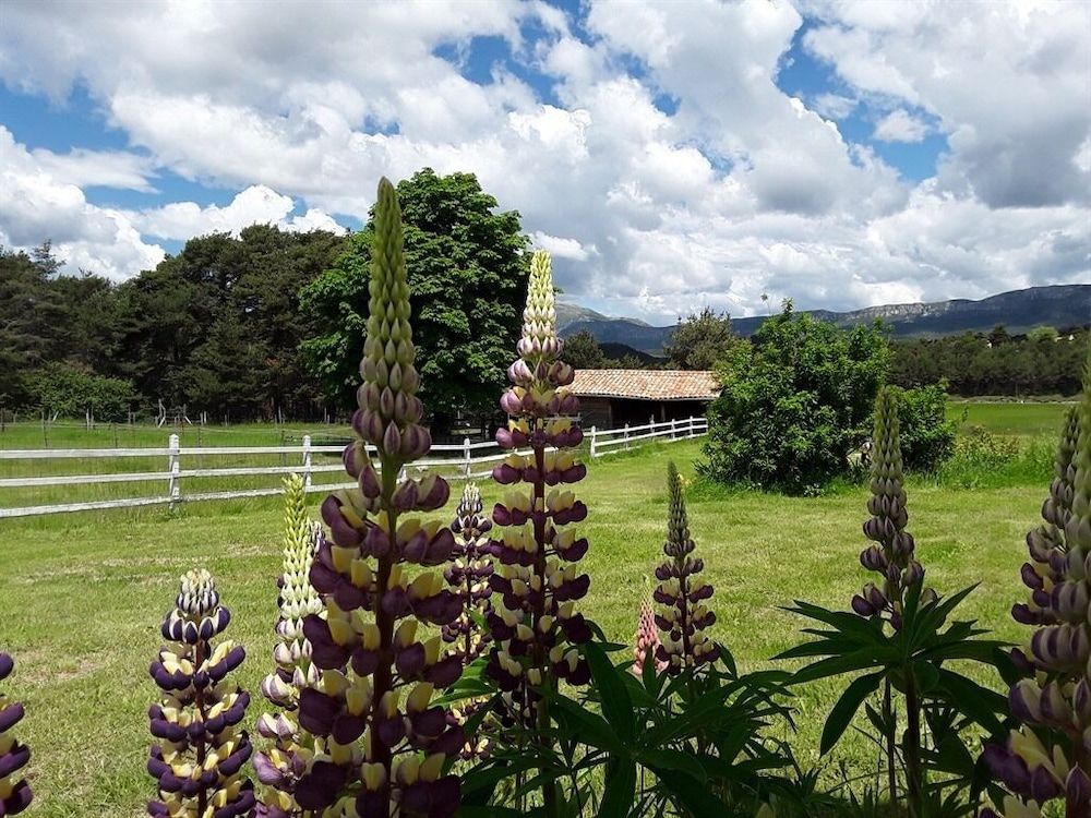 La Bastide des Pins