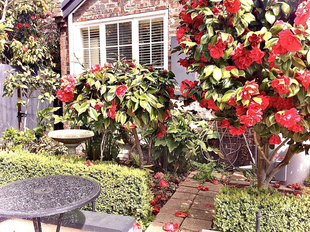 Kurrajong House Launceston