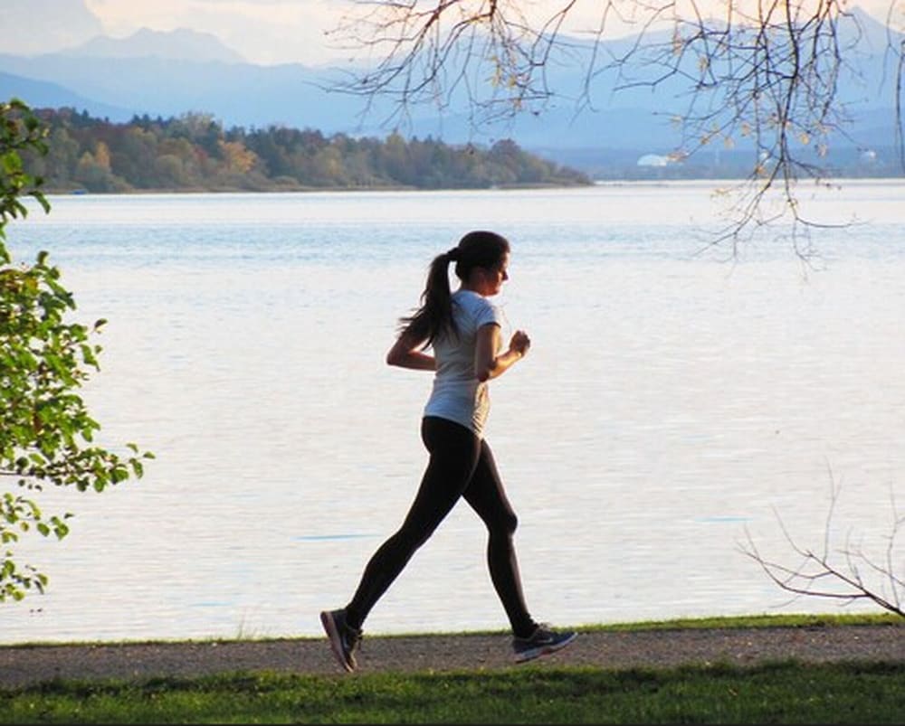 Berlin Vacations - Hotel Seehof Herrsching - Property Image 2