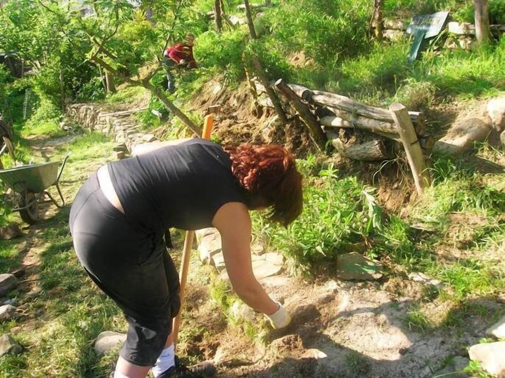 Photo 40