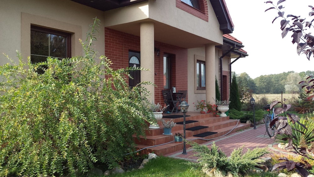 Photo 41