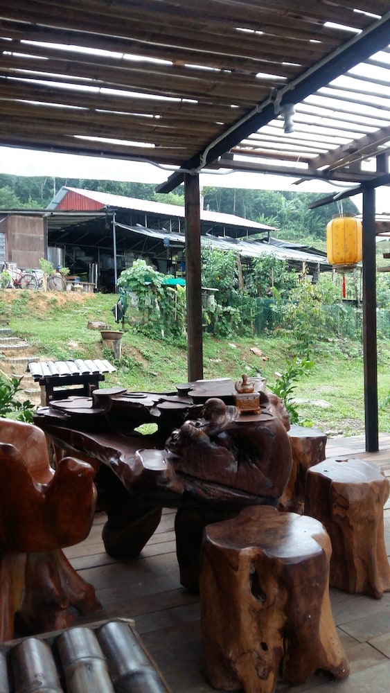 drmind farm