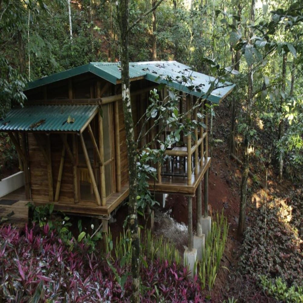 Macaw Lodge