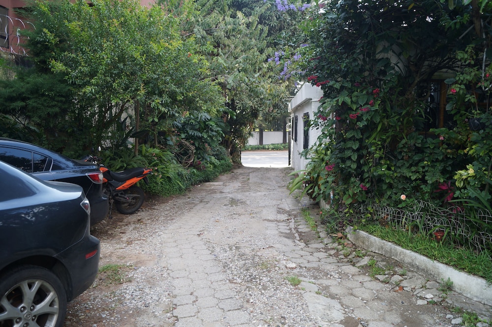 Photo 52