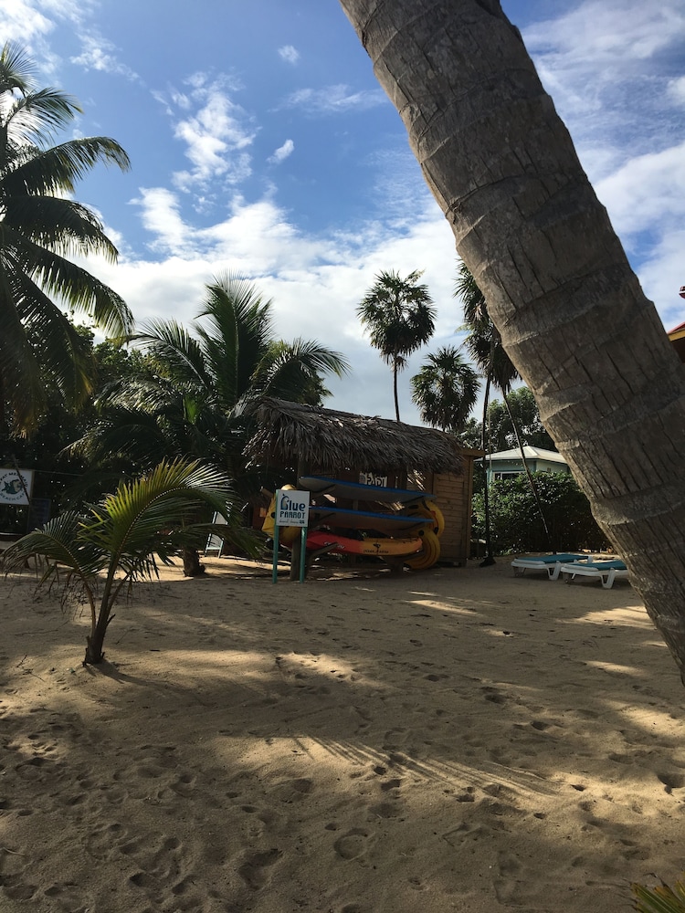 Blue Parrot Beach House