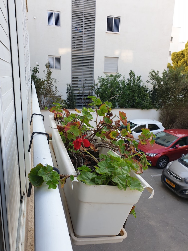 Comfortable apartment