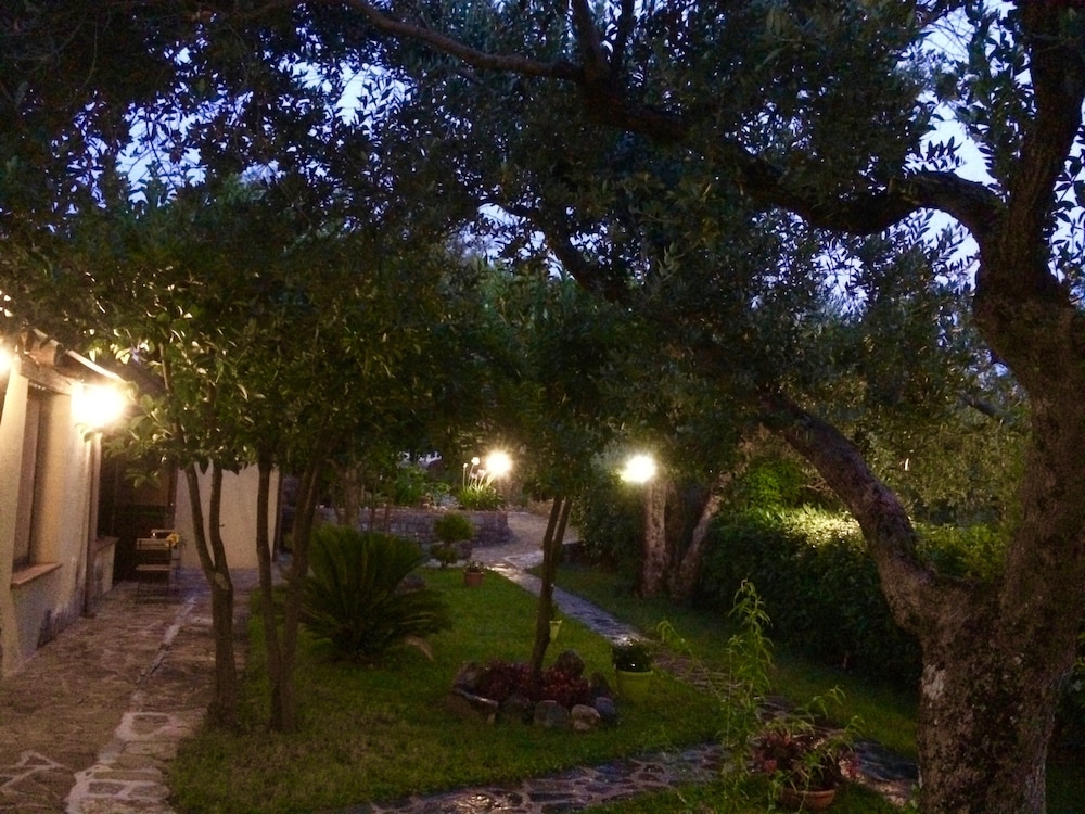 Photo 23