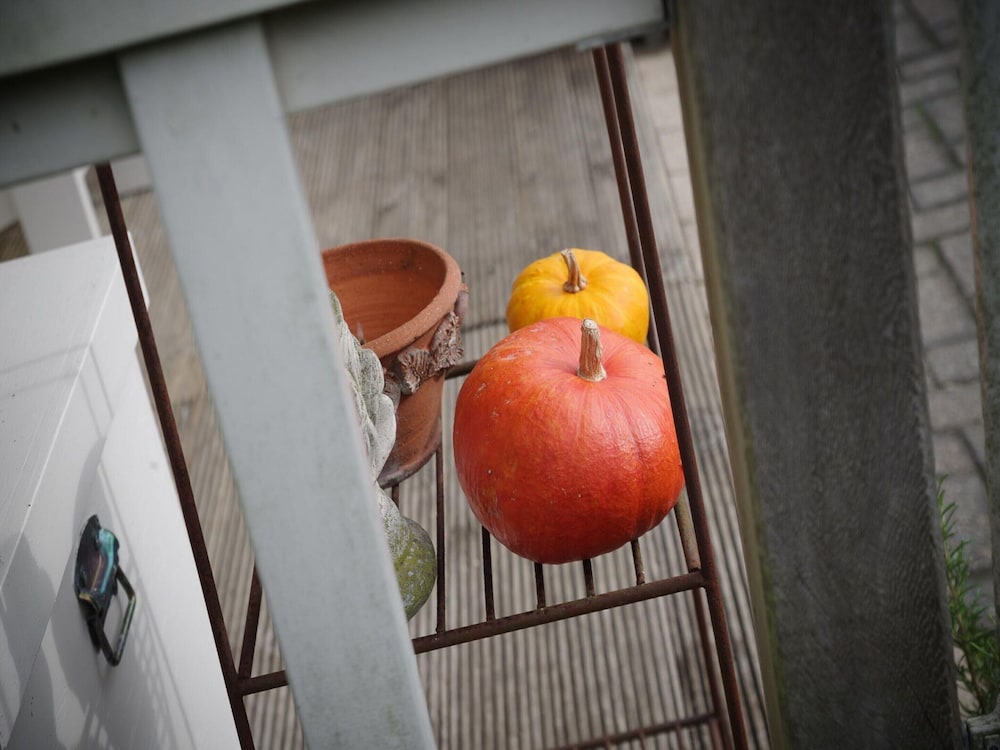 Zeeland Retreat; Sauna and Seaside Charm