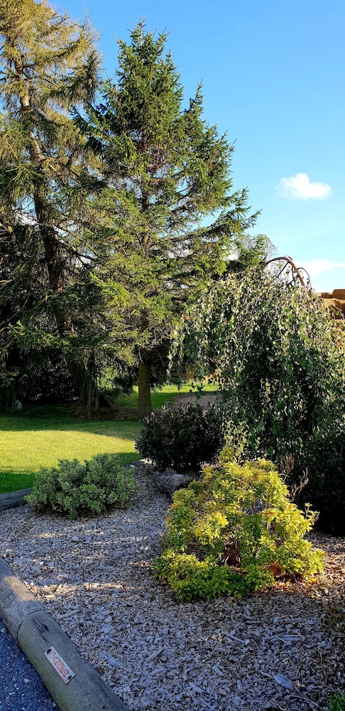 The Vine B & B