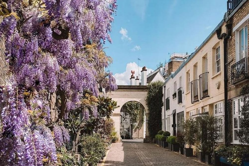 Charming Spacious 5 Bed Mews House - Kensington