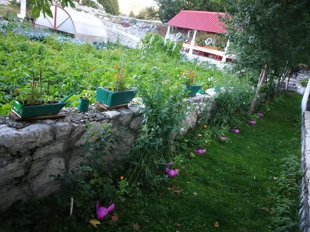Photo 34
