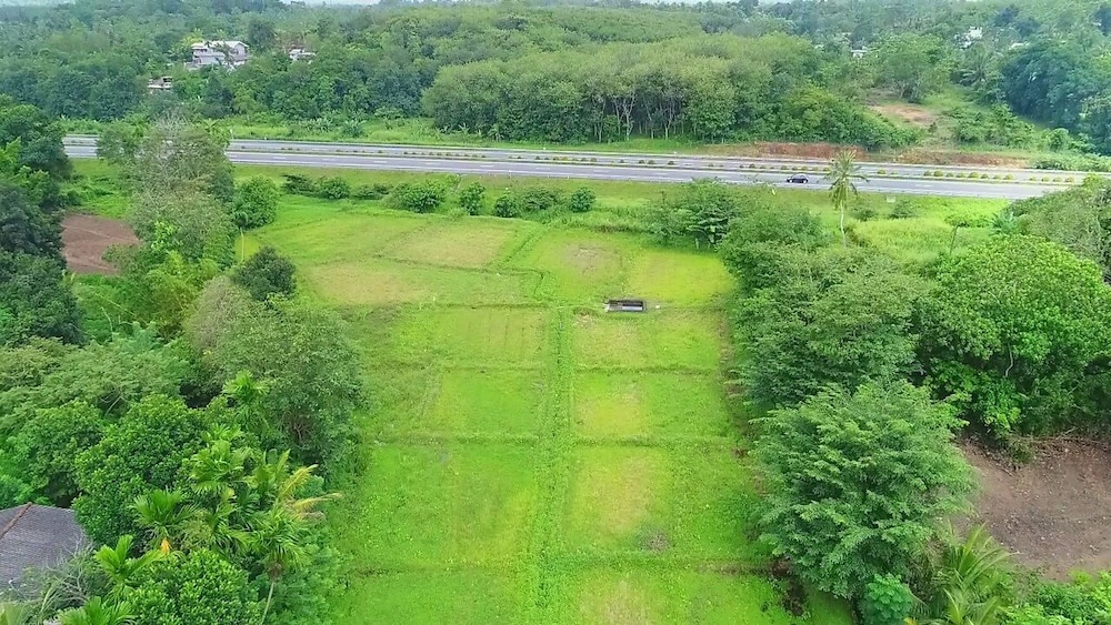 Horahena Farm Stay