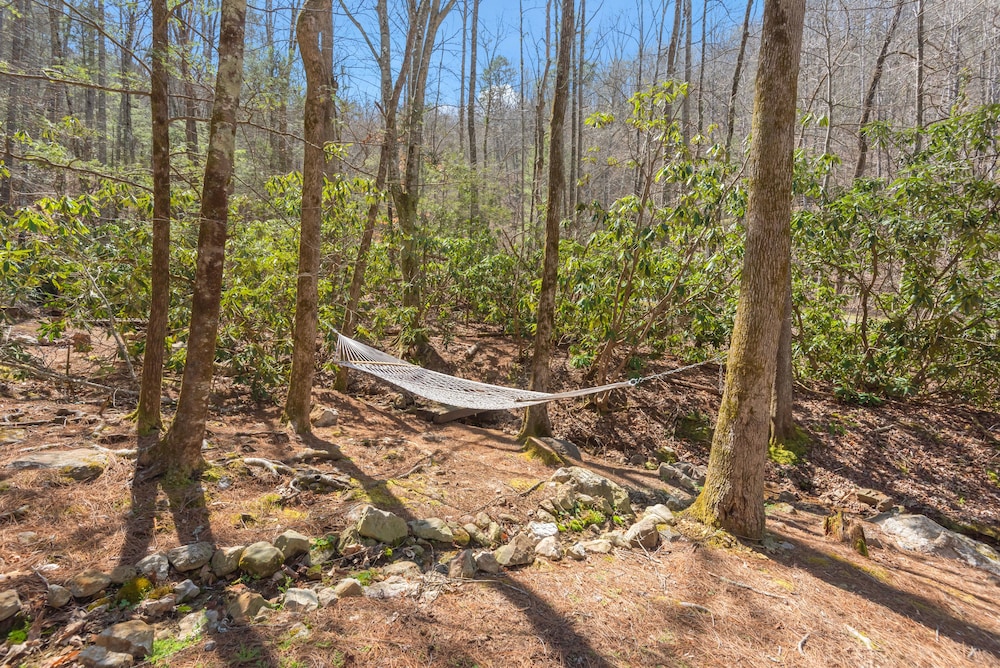 Bear Paw Trail view 3