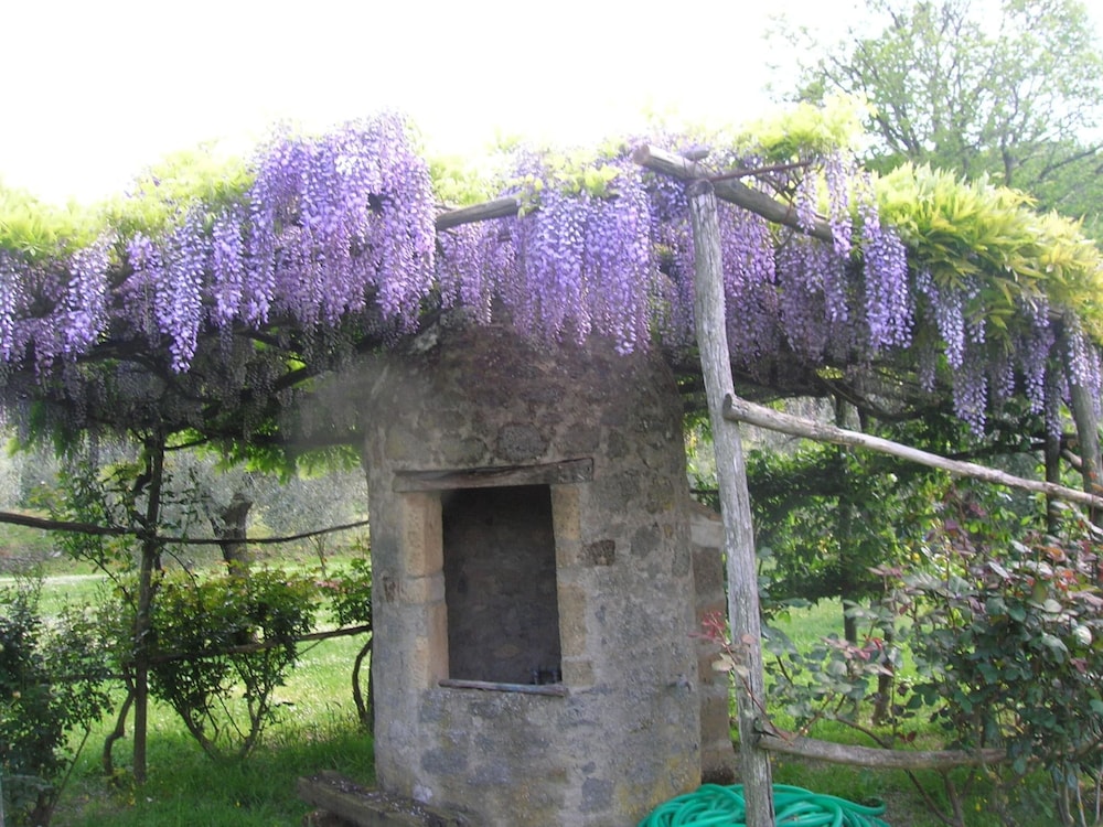 Photo 32
