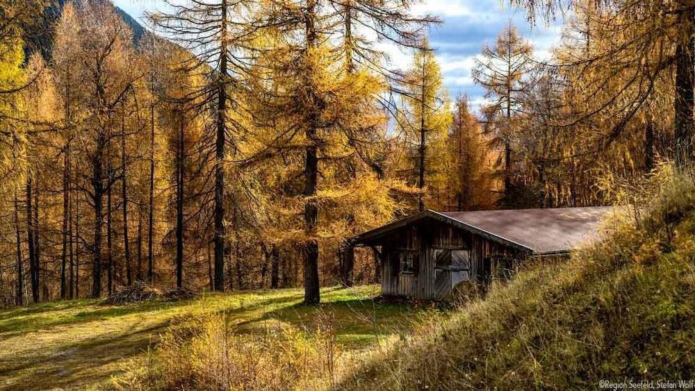Sissi s green Chalets