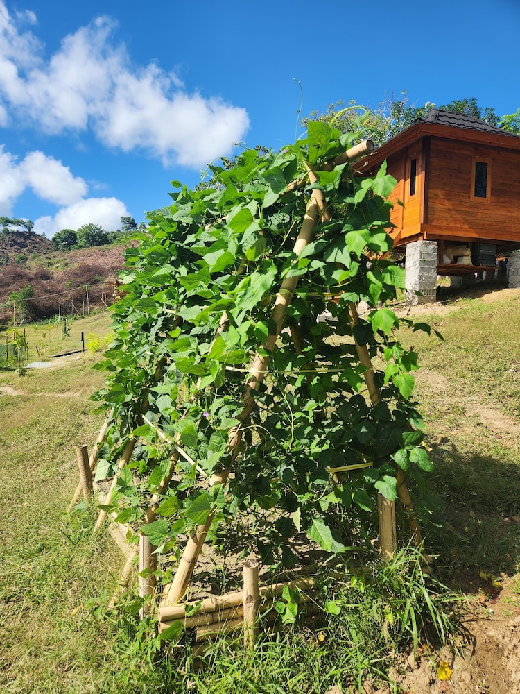 Mawun Valley Farm