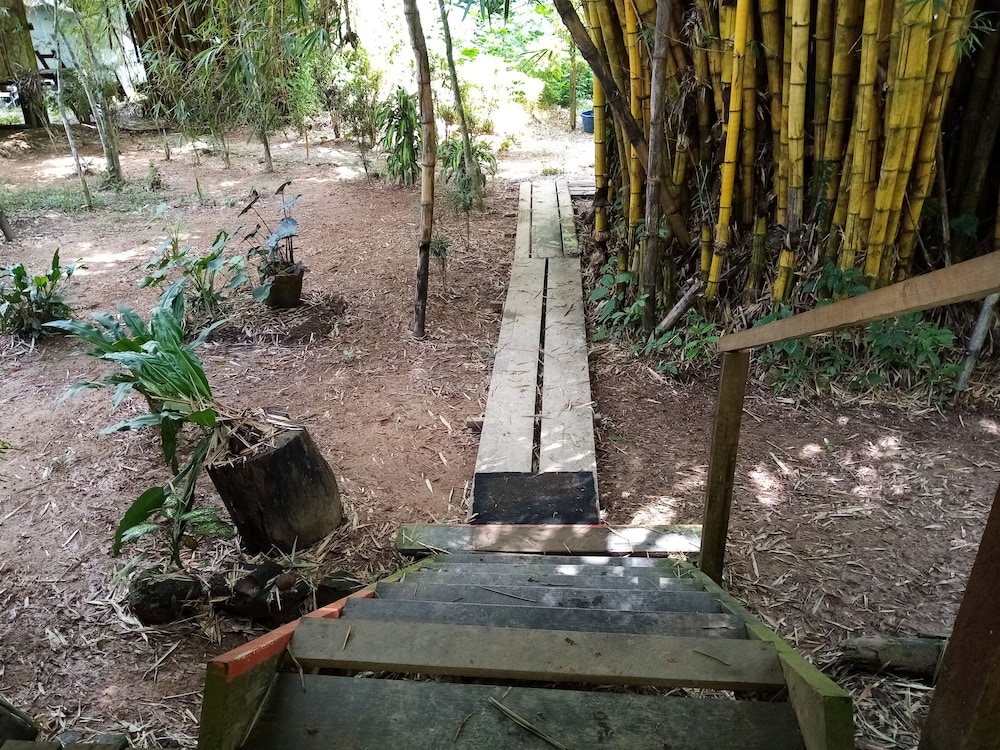 Photo 47