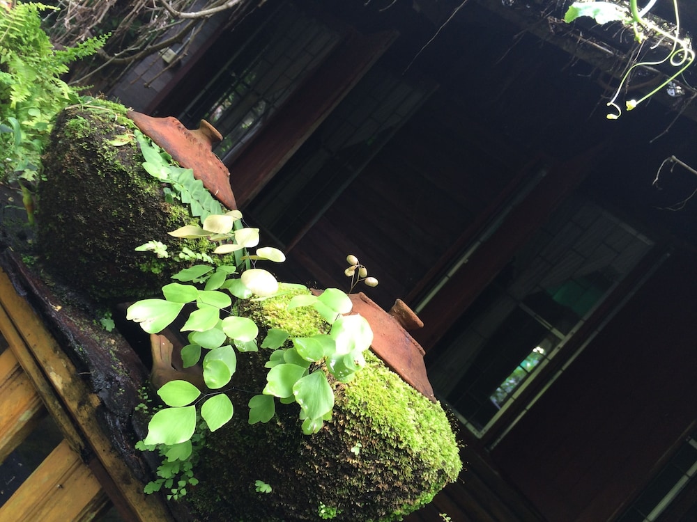 Konkubdin Homestay