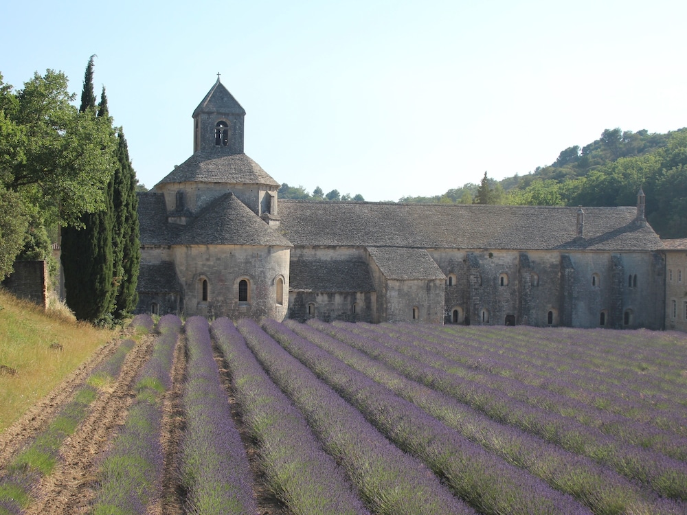 Les Guillaume Rey