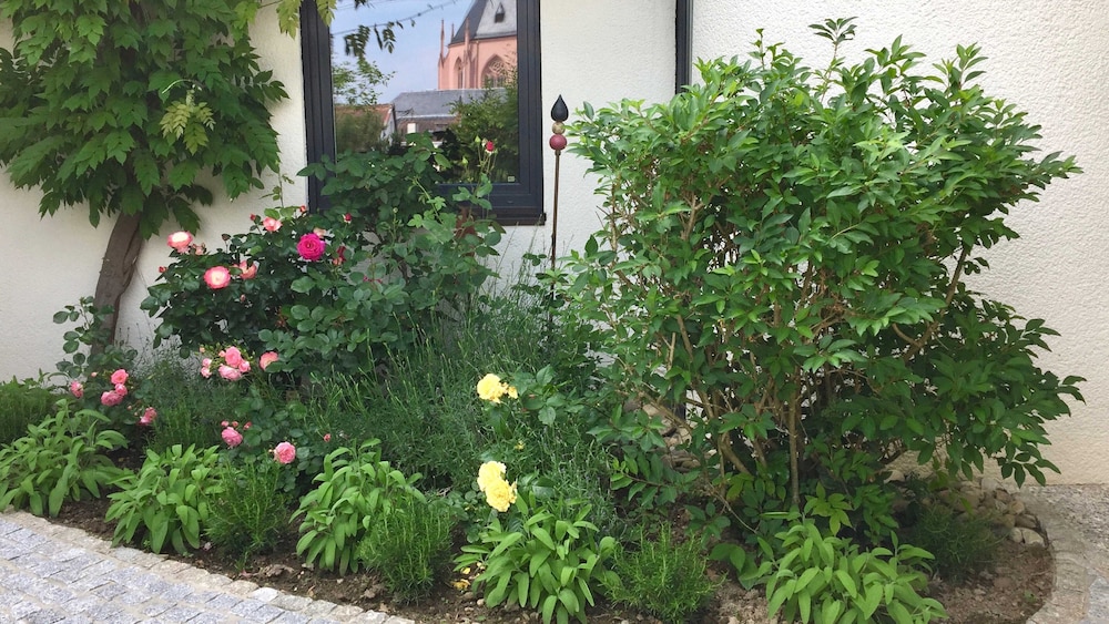 Photo 32