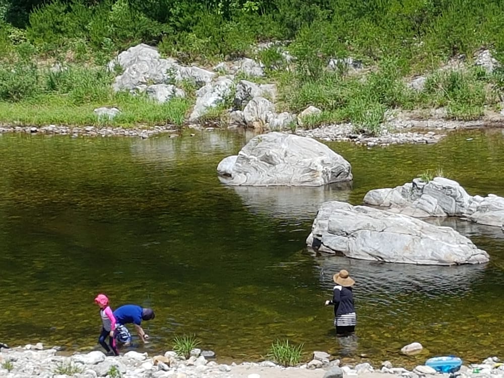 Caddis Pension