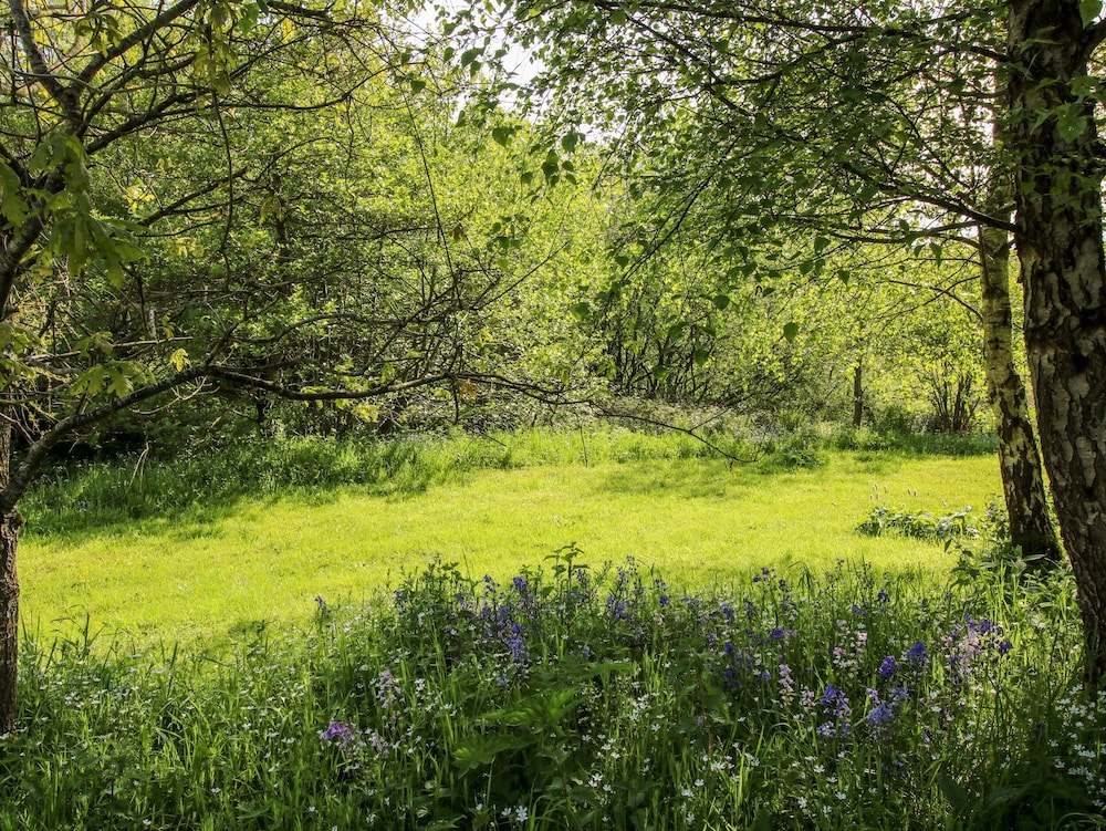 Mucklewick Hollow