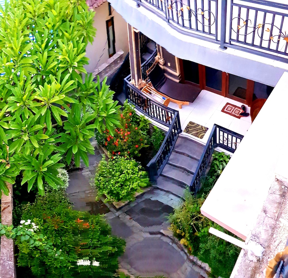 Amed Romance