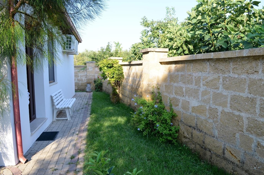 Photo 42