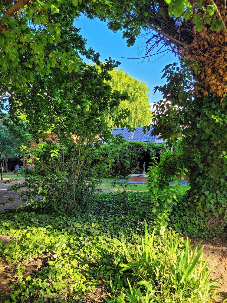 Finca La Saucina