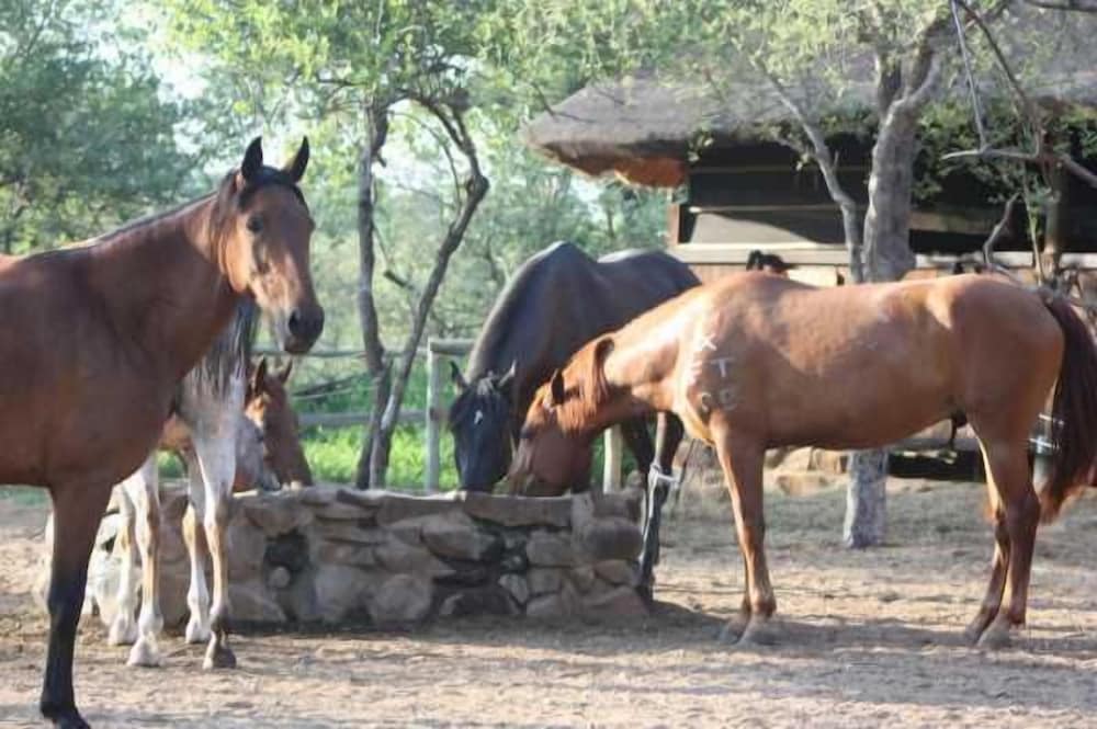 Offbeat Safaris