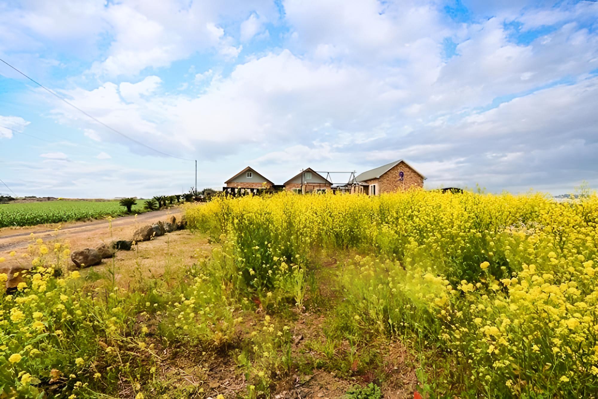 Seoguipo Umblanc Pension view 4