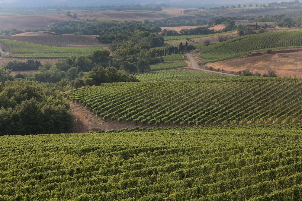 Agriturismo A. Bonacchi