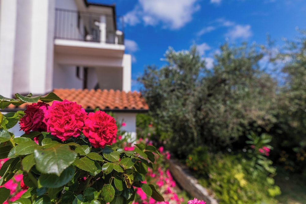 Apartments Amalia
