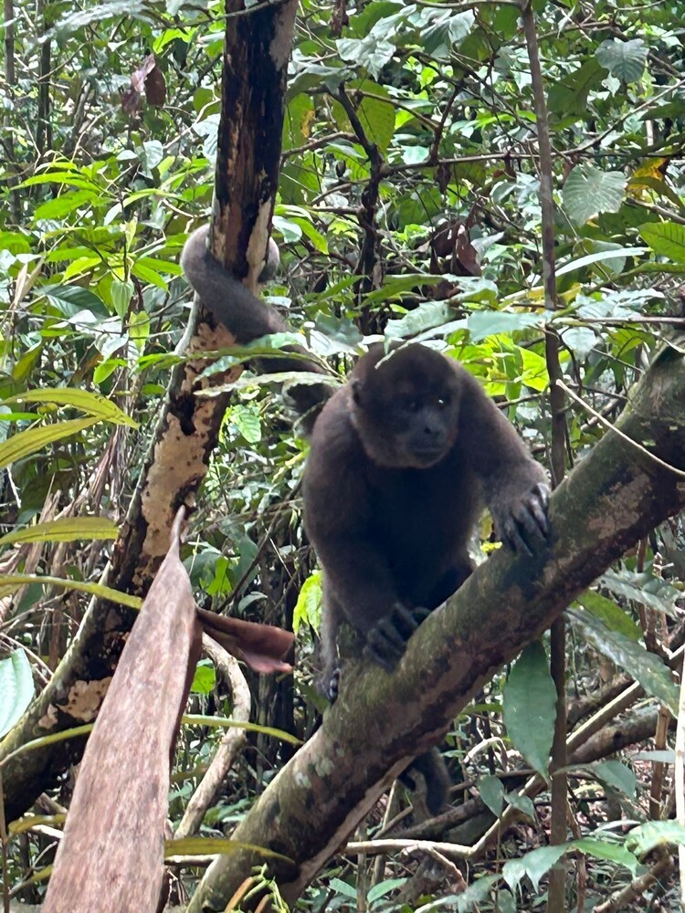Cabañas Ecológicas Mu'ü