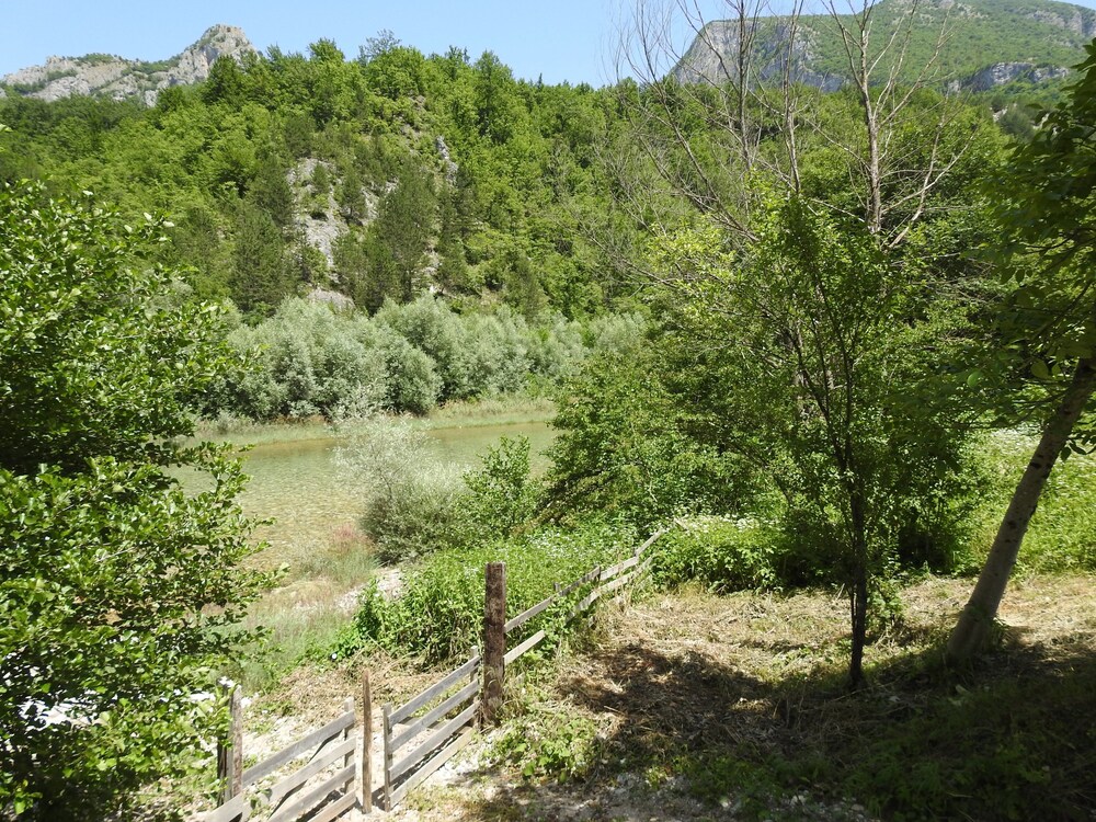 Photo 25