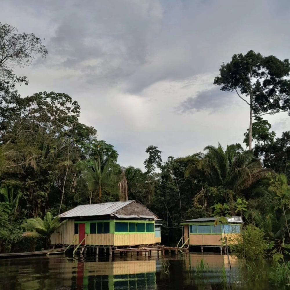Red Uakari Jungle Lodge