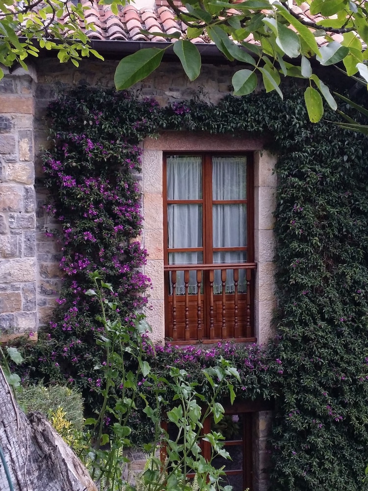 Trisqueles y Buganvillas